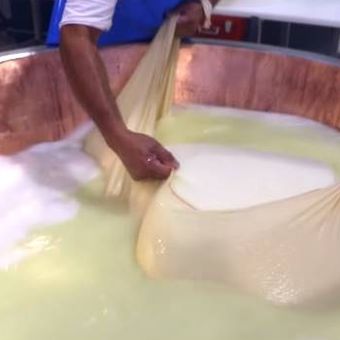 Proses pengangkatan endapan susu yang diangkat menggunakan kain. Pembuatan keju memanfaatkan bioteknologi untuk mengolah susu dan mikroorganisme.