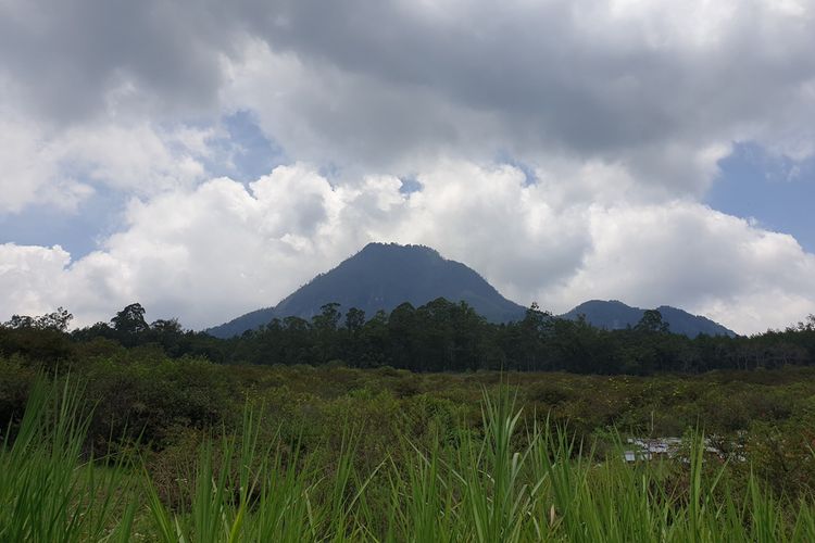 Gunung Panderman