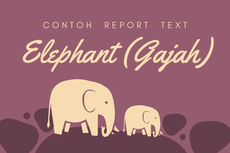 Contoh Report Text tentang Elephant dan Terjemahannya