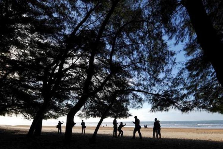 Kerindangan Cemara Udang Pantai Lombang, Kecamatan Batang-batang, Kabupaten Sumenep, Jawa Timur.