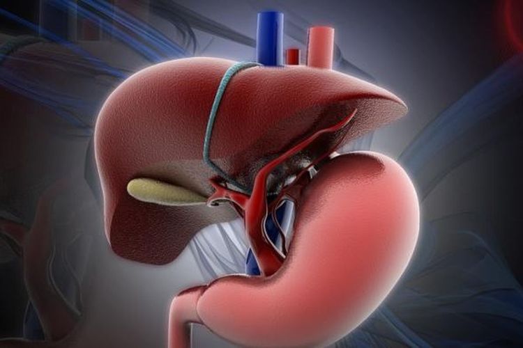 5 Kebiasaan Sehari-hari yang Dapat Merusak Liver, Apa Saja?