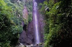 Curug Nangka Bogor, Indahnya Air Terjun di Tengah Hutan Pinus