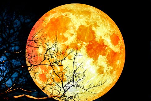 Lihat Gerhana Bulan Total 26 Mei 2021 di www.bmkg.go.id/gbt