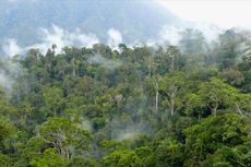 Tambang dan Kebun Punahkan Mata Pencaharian Warga Adat Kalimantan