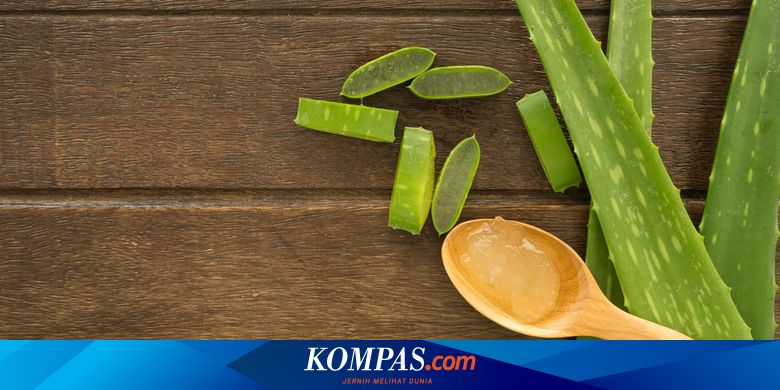 5 Manfaat Lidah Buaya, Bukan Sekadar Mengatasi Masalah Kulit