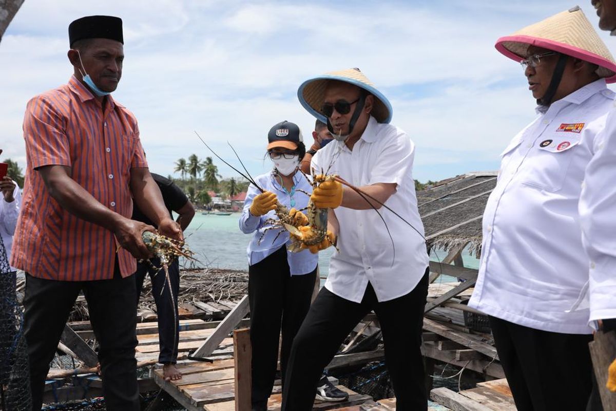 Menteri Koperasi dan UKM (MenKopUKM) Teten Masduki mengecek hasil laut Kabupaten Buton Tengah, Sulawesi Tenggara.