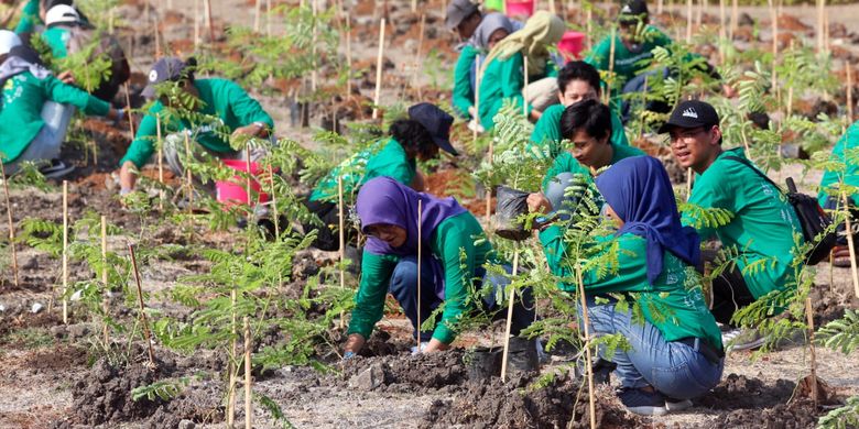 Di Candi Boko para mahasiswa tersebut menanam beragam jenis flora, antara lain 1,350 tanaman perdu dan semak berbunga meliputi Bugenvil, Tanjung, Merak, Soka, serta Kepel. 