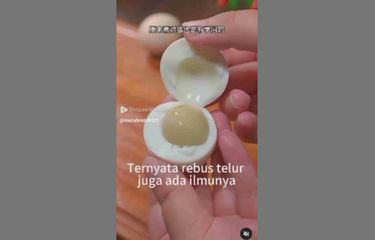 Kuning telur disebut berwarna kehijauan
