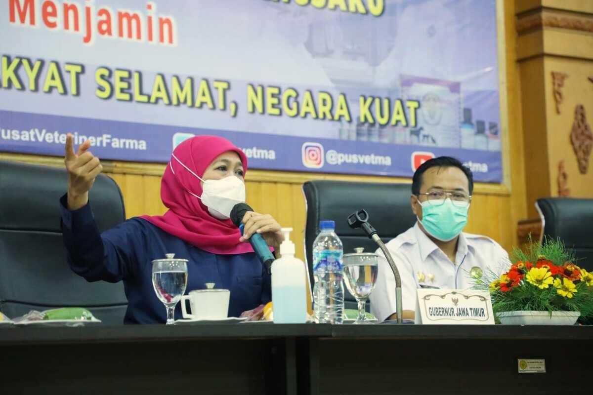 Gubernur Jawa Timur Khofifah Indar Parawansa menggelar Rapat Koordinasi bersama Pusat Veteriner Farma (PUSVETMA) Surabaya dan Tim Pakar guna merumuskan langkah Percepatan Penanganan dan Pengendalian PMK pada Hewan Ternak di Jatim, Rabu (25/5/2022).
