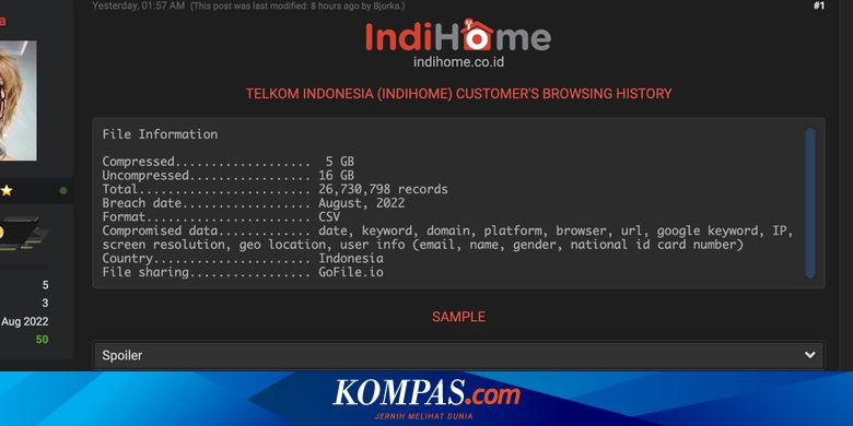 26 Juta Data Browsing History Pelanggan IndiHome Diduga Bocor, Ini Kata Telkom dan Kominfo