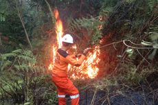 Lahan Seluas 1,4 Hektar di Nunukan Terbakar, Diduga Sengaja untuk Pembukaan Lahan 