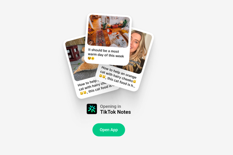 Bocoran tampilan TikTok Notes