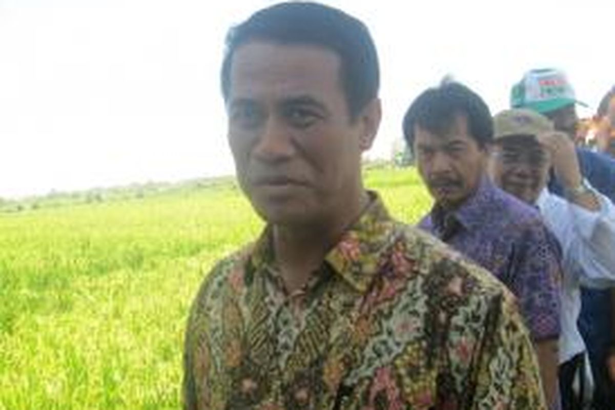 Mentri Pertanian RI Andi Amran Sulaiman saat meninjau sawah di Desa Cemagi, Mengwi, Badung, Provinsi Bali