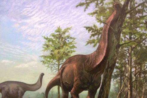 Imuwan Ungkap Dinosaurus Berleher Panjang Sauropoda Hanya Hidup di Daerah Hangat