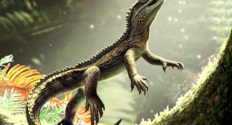 Agriodontosaurus helsbypetrae: Fosil Leluhur Kadal Tertua Ditemukan di Inggris