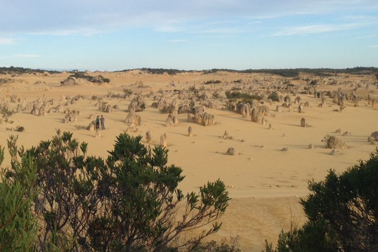 Hamparan batuan karang dihiasi oleh tanaman liar di The Pinnacles, Taman Nasional Nambung, Australia Barat, Jumat (08/9/2017).