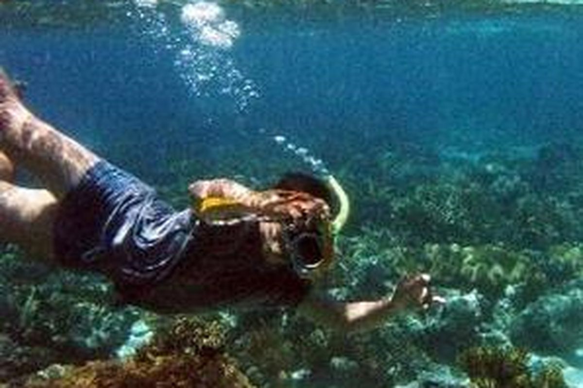 Alam dasar laut kawasan Wakatobi sangat indah. Dengan sekadar berenang di perairan dangkal pun sudah didapat pemandangan yang mengesankan. 