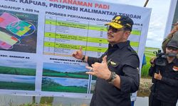 Produktivitas Padi di Kalteng Capai 5 Ton Per Ha, Mentan SYL Pastikan Food Estate Berkembang dengan Baik