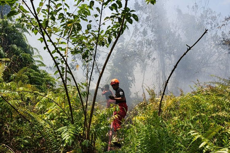 Hampir Tanpa Istirahat Padamkan Karhutla, Damkar Kukar Terkendala BBM hingga Sumber Air