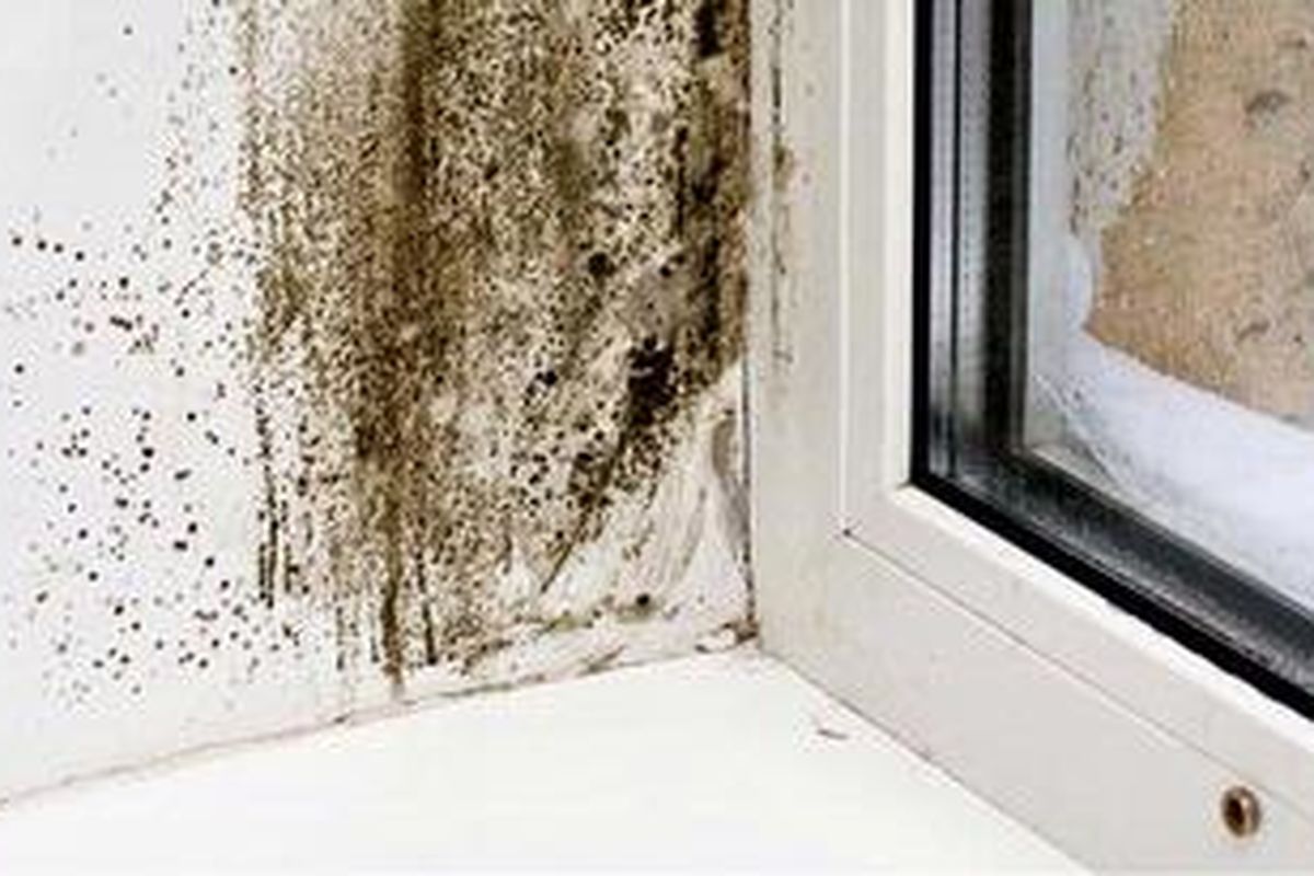 Fentilasi udara dapat mengurangi uap air, terutama di kamar mandi dan dapur yang memiliki penguapan air tertinggi sehingga penguapan air tidak terjadi dan memicu terbentuknya jamur.