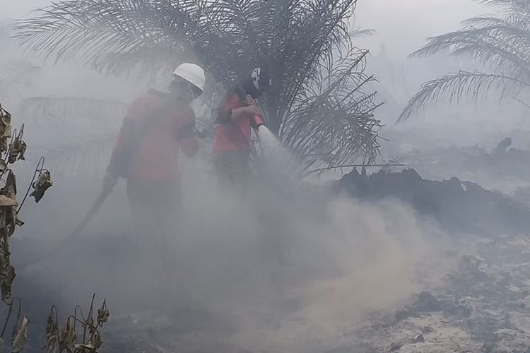 Kebakaran hutan dan lahan di Kecamatan Dayun, Kabupaten Siak, Riau, pada Agustus 2019 lalu.