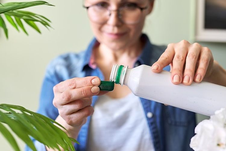 Ilustrasi pemberian ZPT pada tanaman