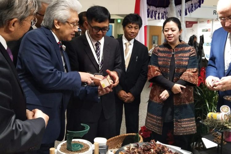 Menko PMK Puan Maharani mempromosikan jamu buatan Indonesia yang dikemas menggunakan teknologi iradiasi nuklir di Wina, Austria, Rabu 28 November 2018.