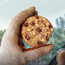 Choco Chip Cookie dari DoubleTree Terkenal di Luar Negeri, Bagaimana di Indonesia?