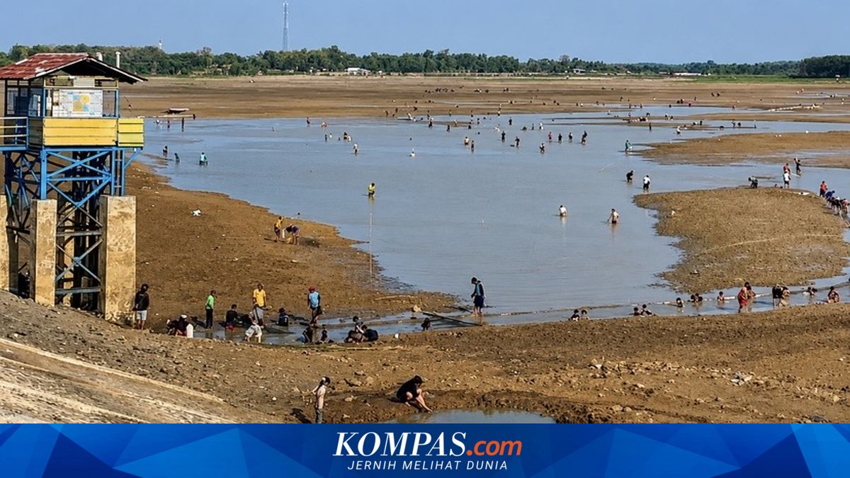 Viral Warga Ramai-ramai Berburu Ikan di Waduk Cipancuh Indramayu yang Surut
