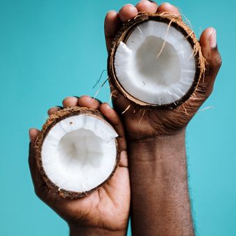 Ilustrasi kelapa, buah kelapa.