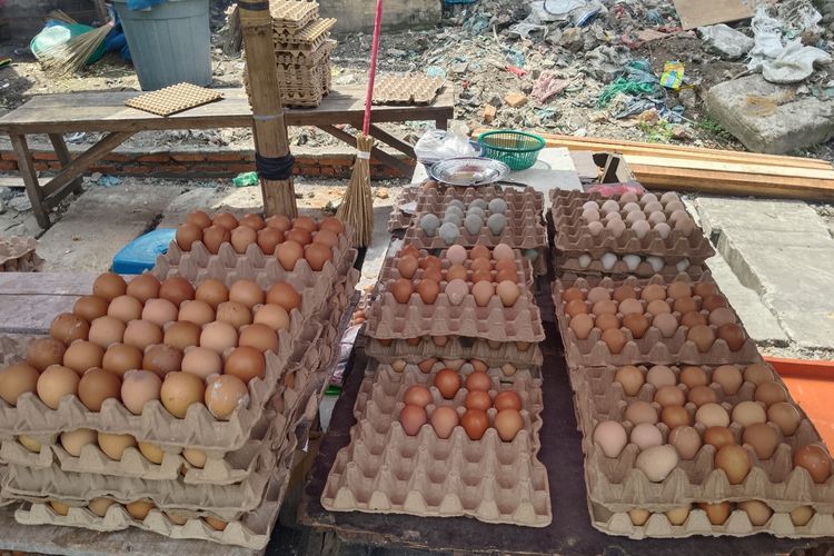 Harga Telur Ayam di Medan Naik, Pedagang: Sudah Musim Masuk Sekolah