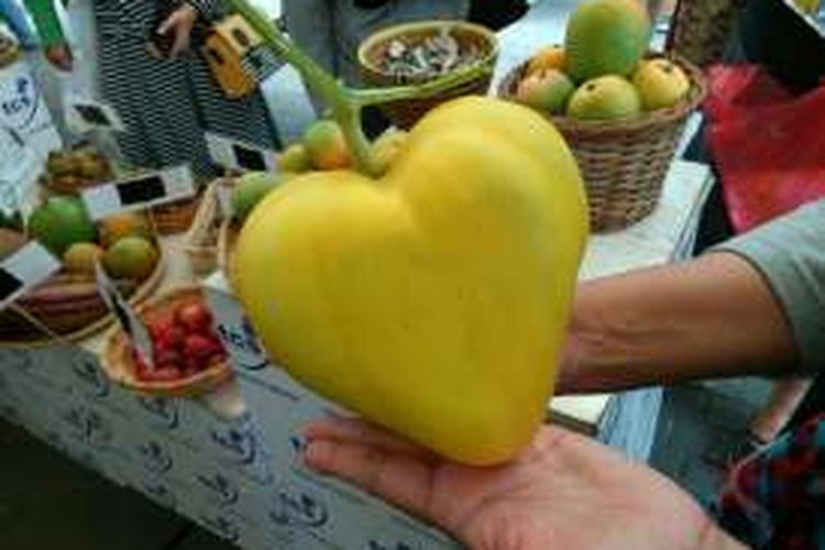 Buah melon dengan bentuk dari Taman Buah Mekarsari.