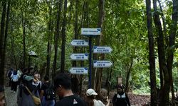 Hutan Digital di Belitung Tarik Wisatawan, UMKM Ikut Bergerak