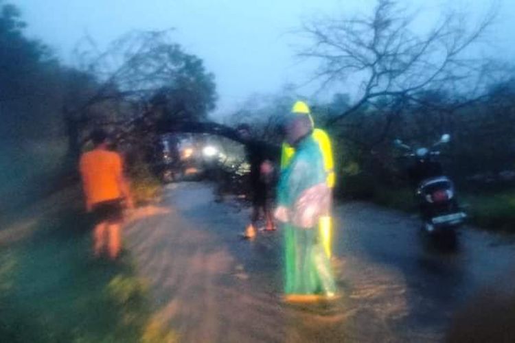 Hujan deras disertai angin kencang yang mengguyur Kabupaten Ngawi, Minggu (21/4/2024) sore membuat sejumlah pohon tumbang. Pohon tumbang di jalan Jogorogo ? Kedunggalar membuat pasangan suami istri yang mengendarai motor mengalami kecelekaan menabrak pohon tumbang yang menewaskan pengendara motor.