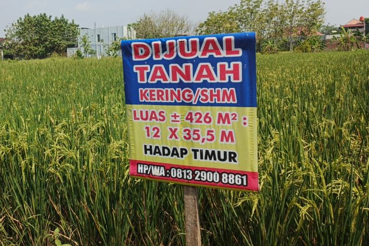 Cek Sertifikat Tanah di BPN, Ini Tarif dan Prosedurnya