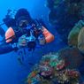 Mau Diving Saat Era New Normal? Simak 15 Panduan Umumnya