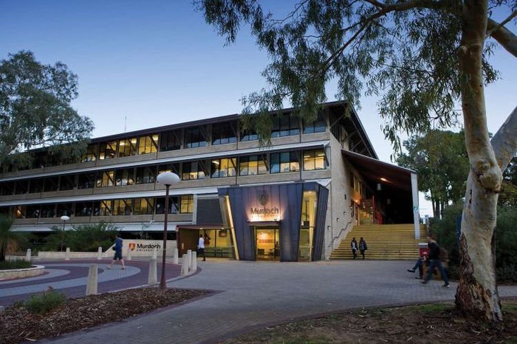 Murdoch University di Perth, Australia.