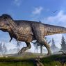 Punya Tubuh Sangat Besar, T. Rex Bisa Tumbuh 2,5 Kg Per Hari