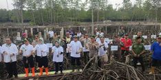 10.000 Mangrove Ditanam di Sumut, BRGM Tekankan Pentingnya Partisipasi Masyarakat dalam Pemulihan Lingkungan