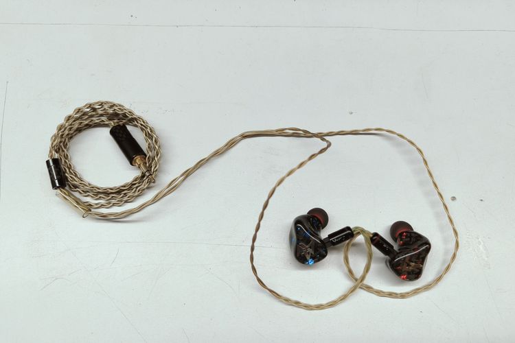 Produk dari Sidoarjo, Jawa Timur yang kini menjadi andalan banyak musisi papan atas Indonesia, Avara Custom, manufaktur Custom dan Universal In-Ear Monitor (IEM), sebuah perangkat earphone yang dicetak sesuai dengan bentuk telinga pemakainya.