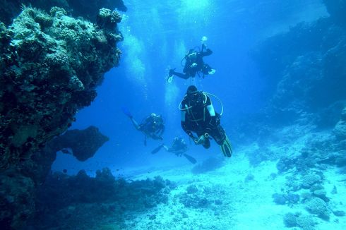 Tips Scuba Diving bagi Pemula, Jangan ke Tempat Tinggi Setelah Selesai