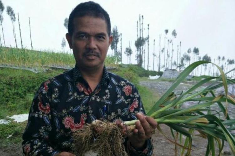 Direktur Jenderal Hortikultura, Suwandi saat melakukan program swasembada bawang putih.