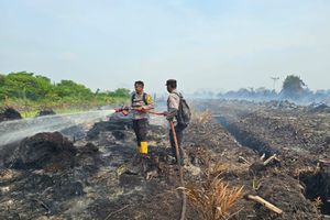 Karhutla di Era Prabowo dan Ultimatum Jokowi ke Pangdam-Kapolda yang Masih Berlaku