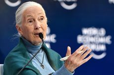 Saat Lockdown, Pakar Konservasi Terkemuka Jane Goodall Berseru: Stop Perdagangan Hewan Liar