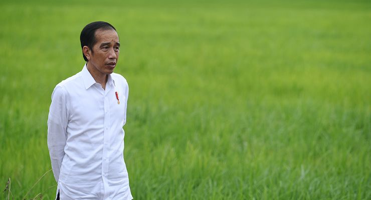 Saat "Food Estate" Dikritik Cak Imin dan Mahfud, Diakui Gibran Ada yang Gagal