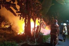 Diduga akibat Puntung Rokok Dibuang Sembarangan, Lahan Bambu Depan Perumahan di Salatiga Terbakar