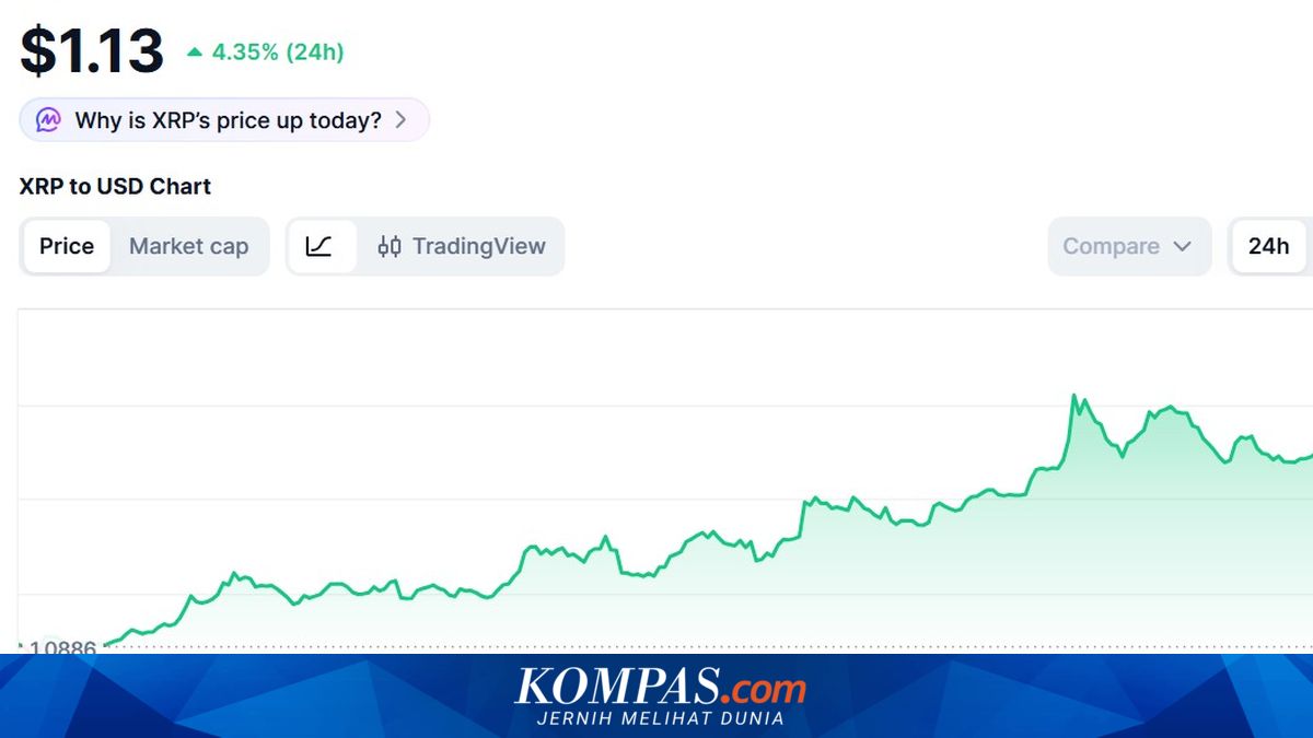 Harga XRP Hari Ini 4 Juli 2026, Level Resistensi Tercapai