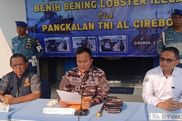 75 Ribu Benih Lobster Ilegal Digagalkan Lanal Cirebon di Tol Cipali, Dua Pelaku Diamankan