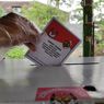 Daftar 187 Kepala Daerah yang Masa Jabatannya pada 2024