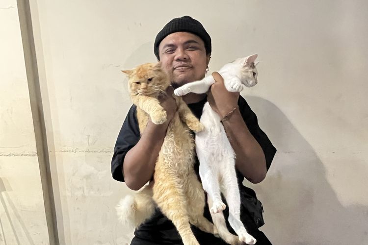 Kucing Berkostum di Tunjungan Surabaya Viral, Pemilik Bantah Eksploitasi dan Minta Donasi